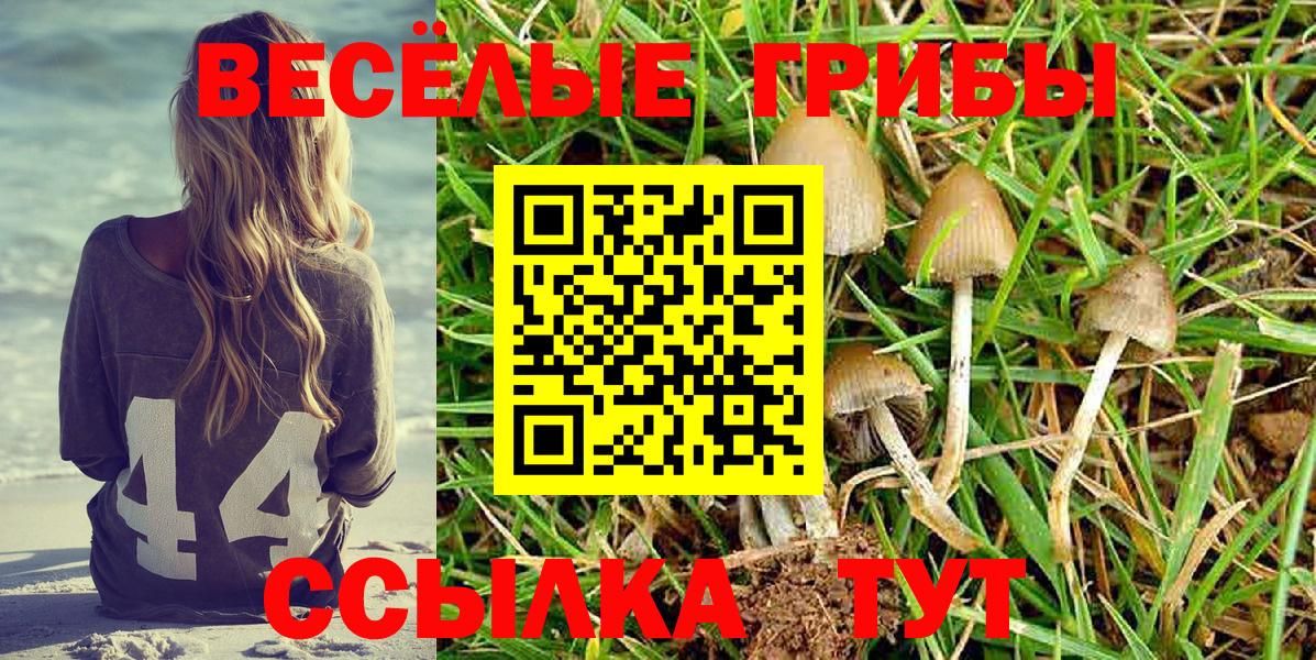 Соль-Илецк  Псилоцибиновые грибы Psilocybe  Псилоцибиновые грибы Magic Shrooms  Вход с VPN 